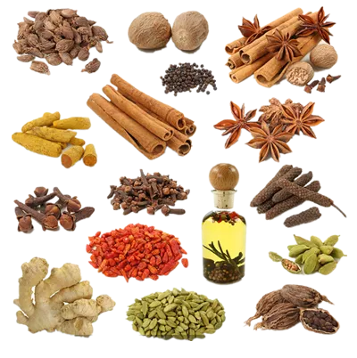 رایحه های اصلی